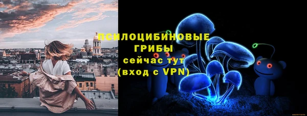спиды Бронницы