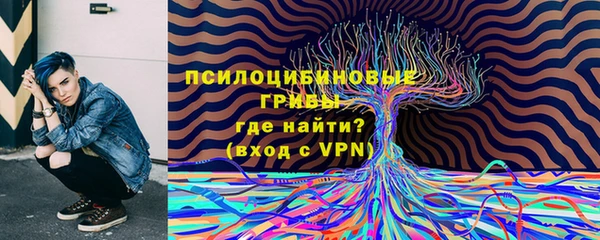 марки nbome Пересвет