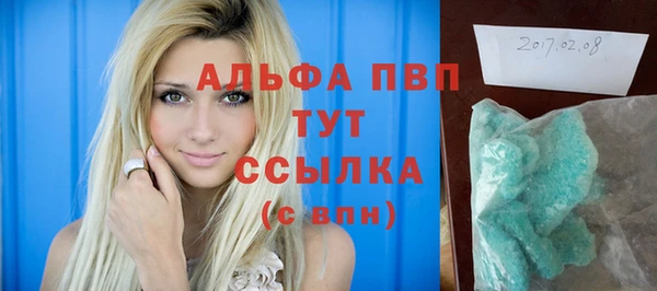 прущие грибы Бугульма