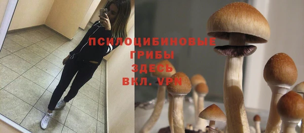 спиды Бронницы