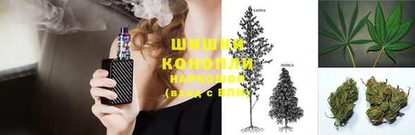 прущая мука Бородино