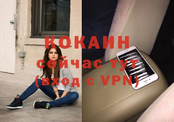 прущие грибы Бугульма