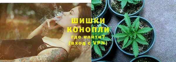 шишки Пестово