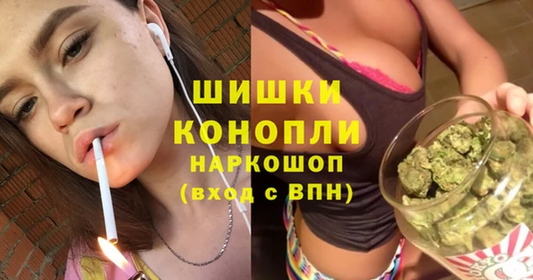 прущие грибы Бугульма