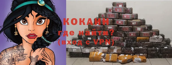 прущие грибы Бугульма
