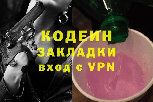 шишки Пестово