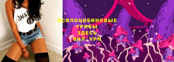 шишки Пестово