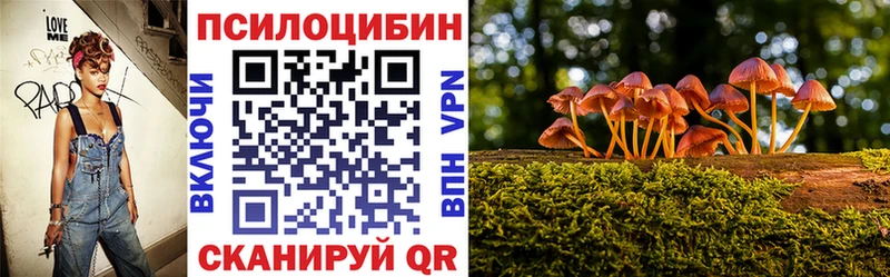 Псилоцибиновые грибы Cubensis Можайск